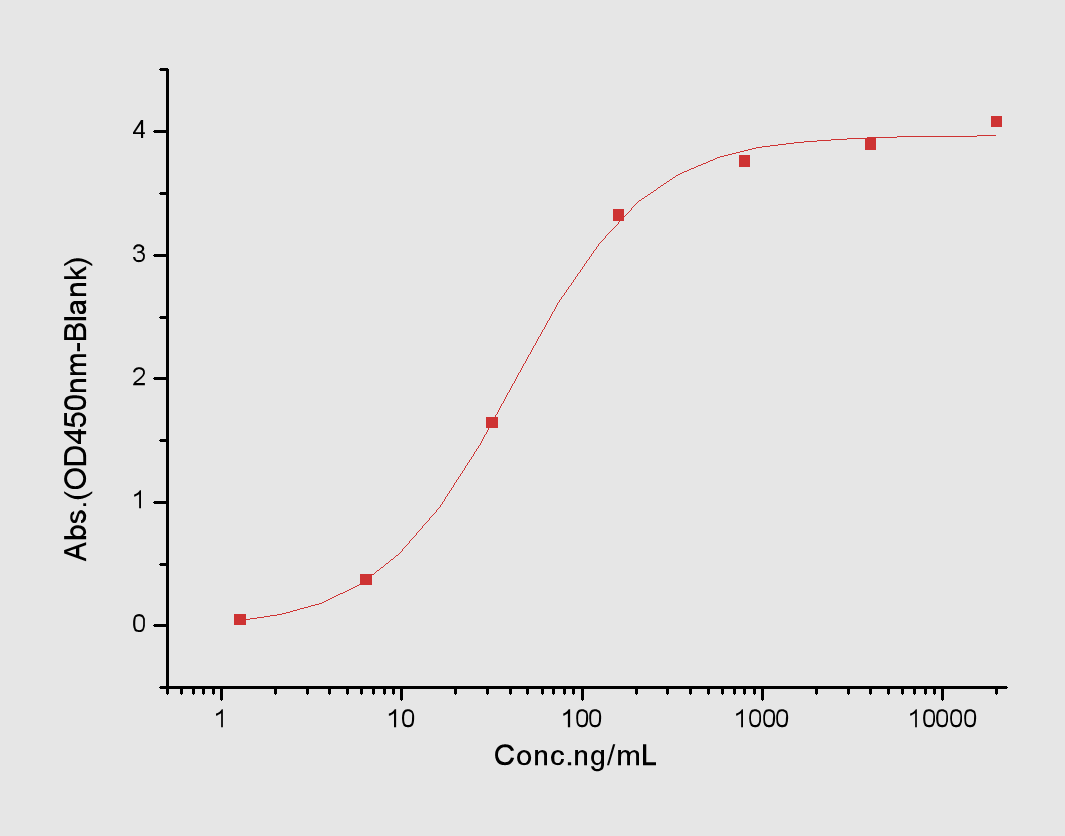 HGFR/c-Met Protein, Cynomolgus, Rhesus, Recombinant (His)