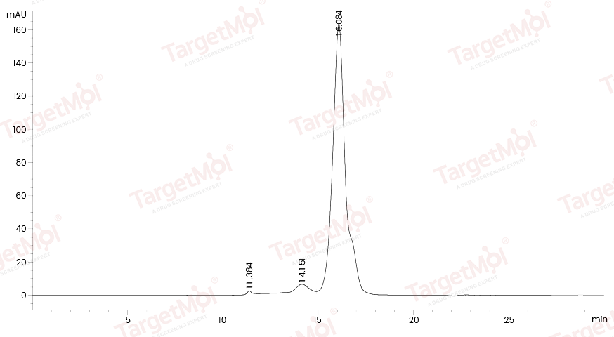 RNF43 Protein, Human, Recombinant (His)