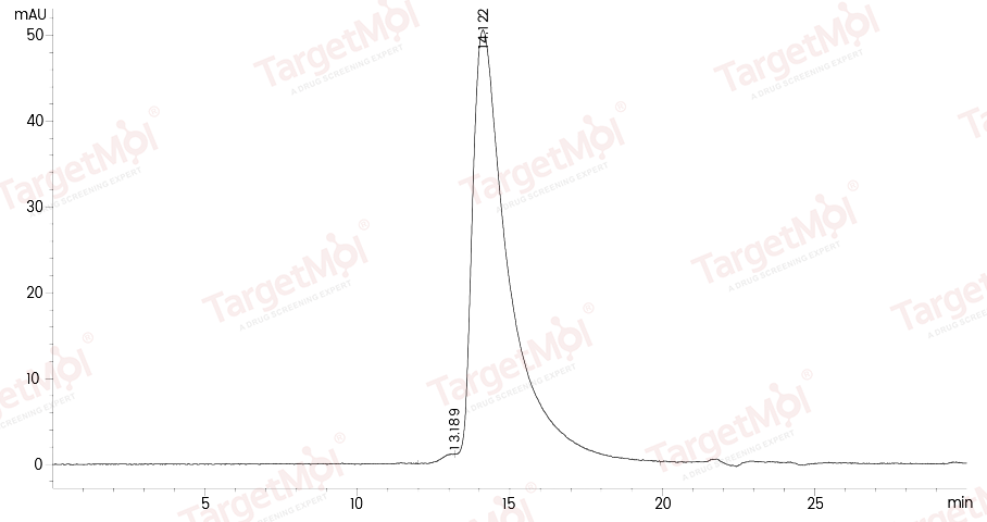 CD7 Protein, Human, Recombinant (His)