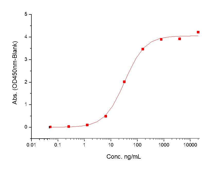HGFR/c-Met Protein, Human, Recombinant (His)