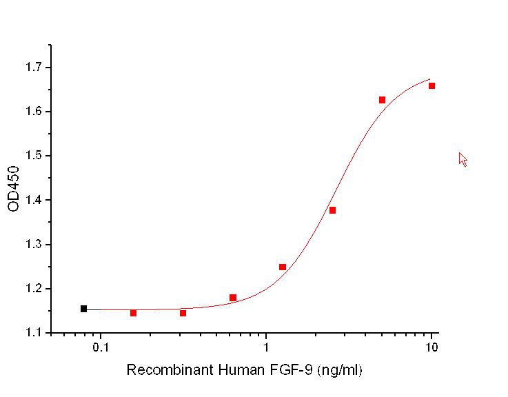 FGF-9 Protein, Human, Recombinant