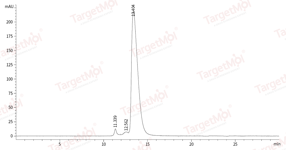 IL-1R2 Protein, Human, Recombinant (His)