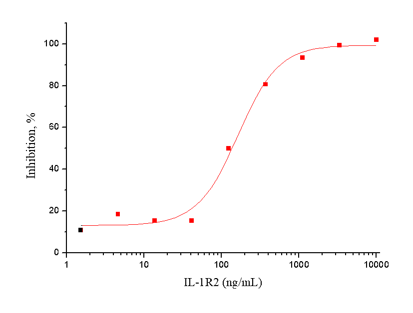 IL-1R2 Protein, Human, Recombinant (His)