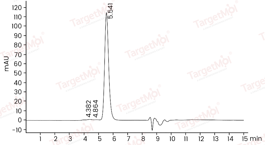 HER2/ERBB2 Protein, Mouse, Recombinant (His)