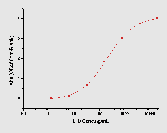 IL-1 beta/IL-1F2 Protein, Human, Recombinant (His)
