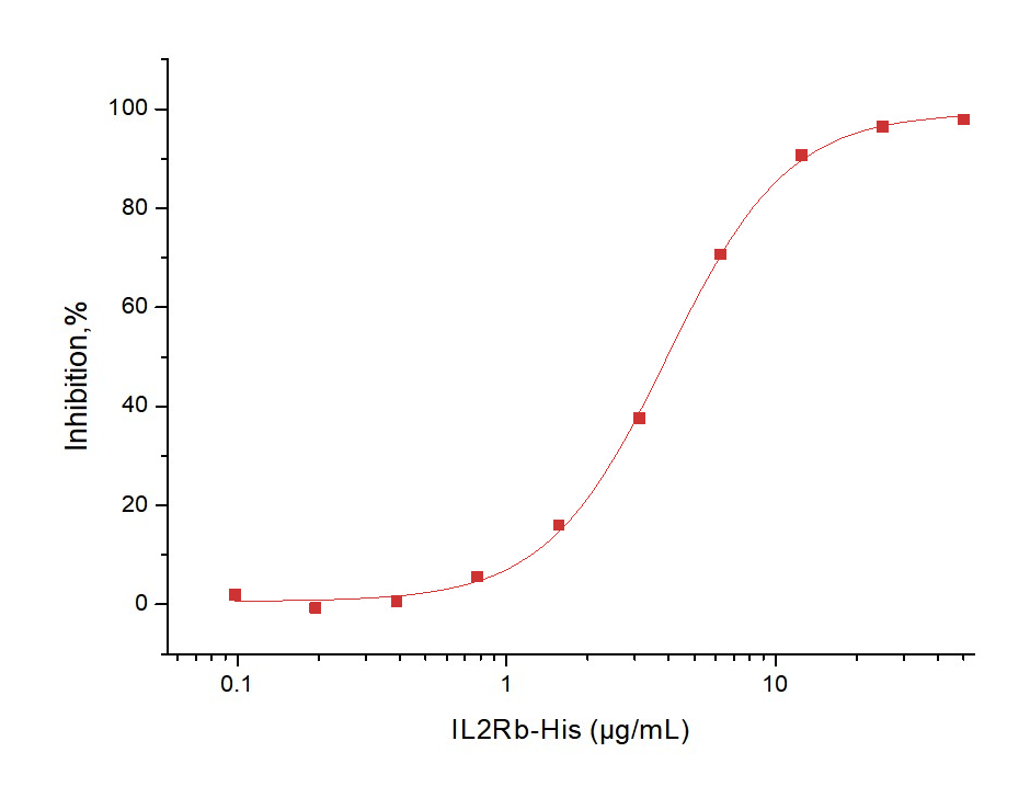 CD122/IL2RB Protein, Human, Recombinant (His)