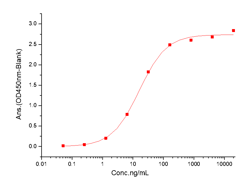 CD19 Protein, Human, Recombinant (His)