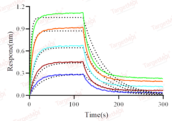 CD64 Protein, Mouse, Recombinant (His)