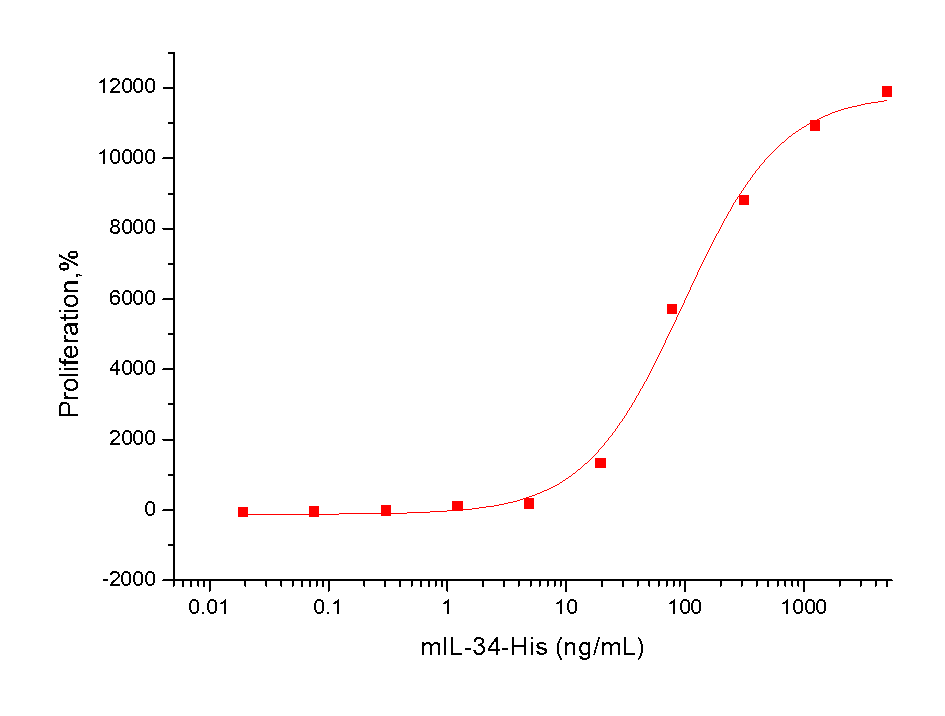 IL-34 Protein, Mouse, Recombinant (His)