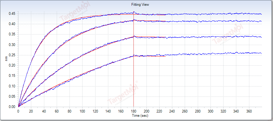 CD73/5'-Nucleotidase Protein, Human, Recombinant (His)