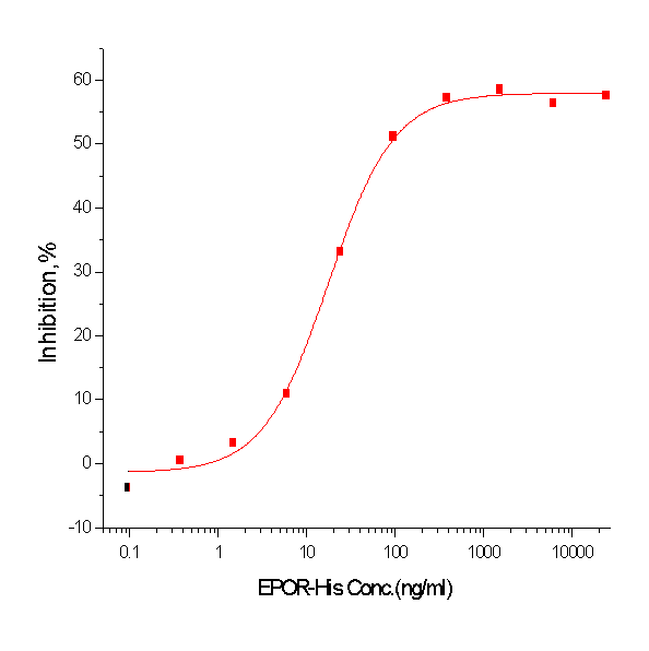 EPOR Protein, Human, Recombinant (His)