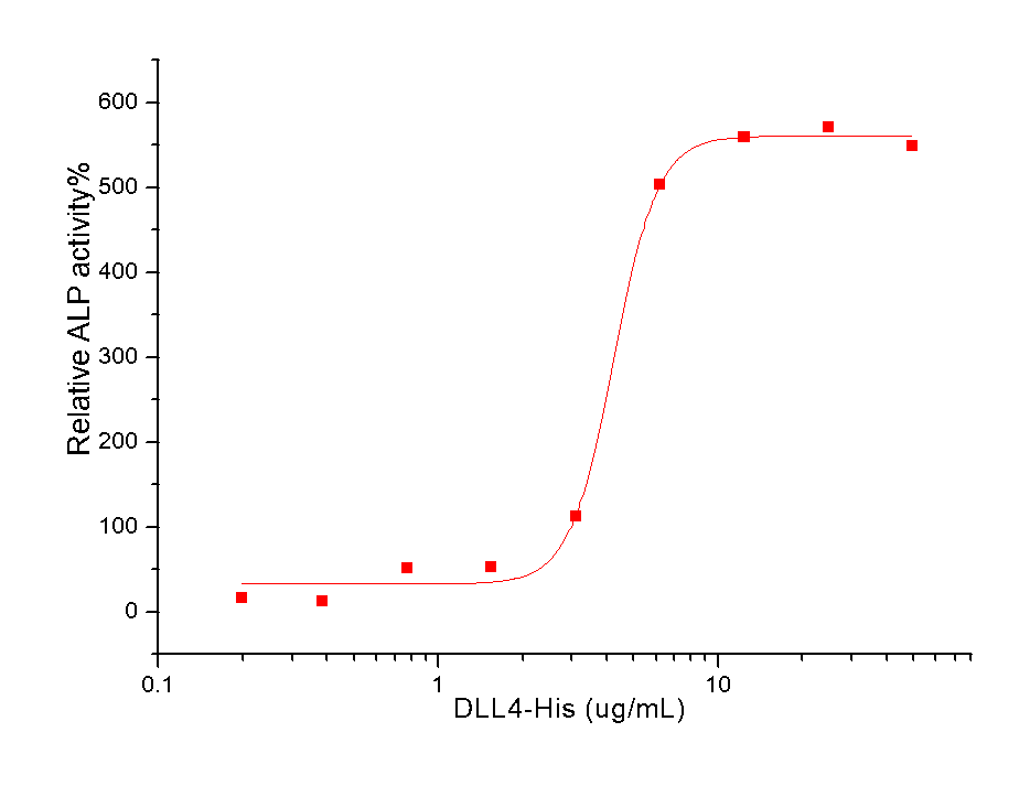 DLL4 Protein, Human, Recombinant (His)