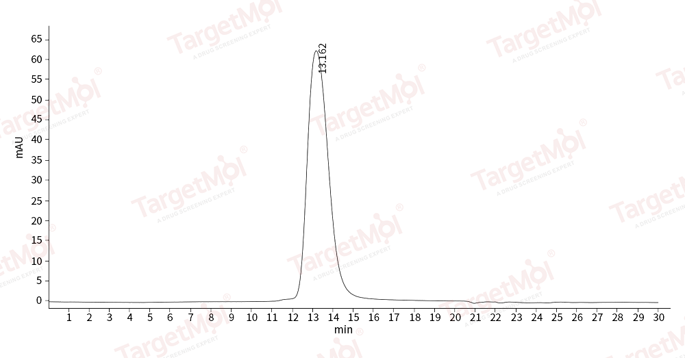 DLL4 Protein, Human, Recombinant (His)