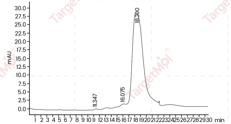 NKG2D/CD314 Protein, Human, Recombinant (aa 78-216, His)
