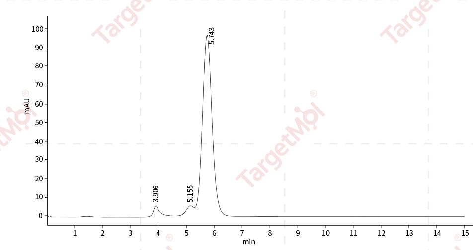 TrkB Protein, Human, Recombinant (His)