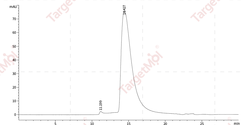 LAG-3 Protein, Human, Recombinant (His)