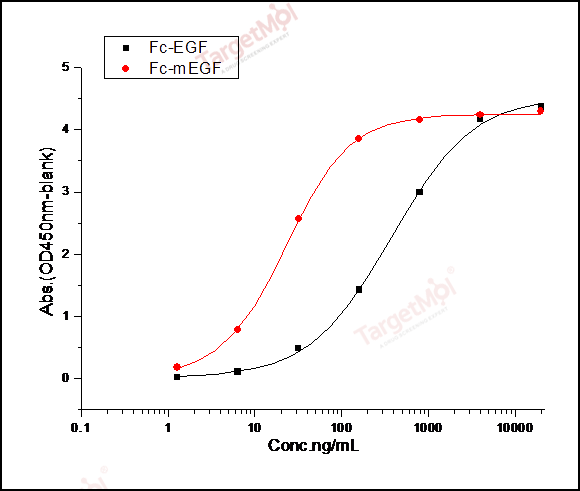 EGFR Protein, Mouse, Recombinant (His)