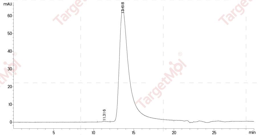 LAG-3 Protein, Cynomolgus, Recombinant (74 Pro, His)