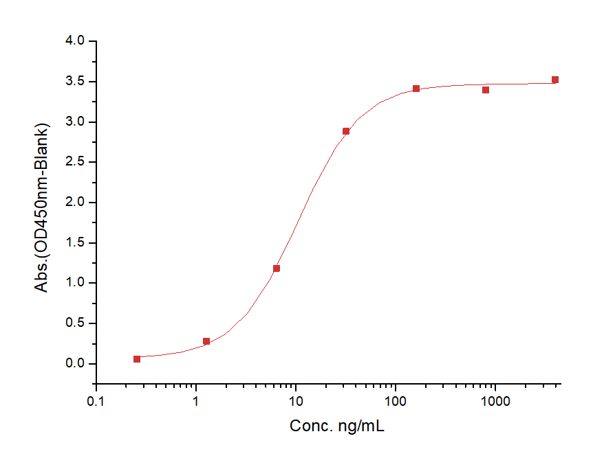 CD40 Protein, Human, Recombinant (His)