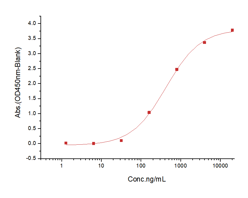 LAG-3 Protein, Cynomolgus, Recombinant (74 Pro, His)