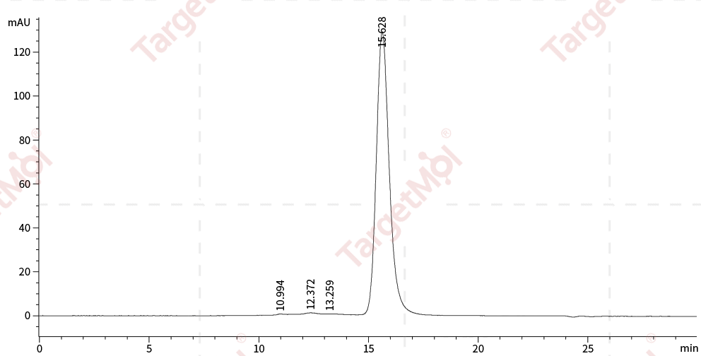 HER3/ERBB3 Protein, Human, Recombinant (His)