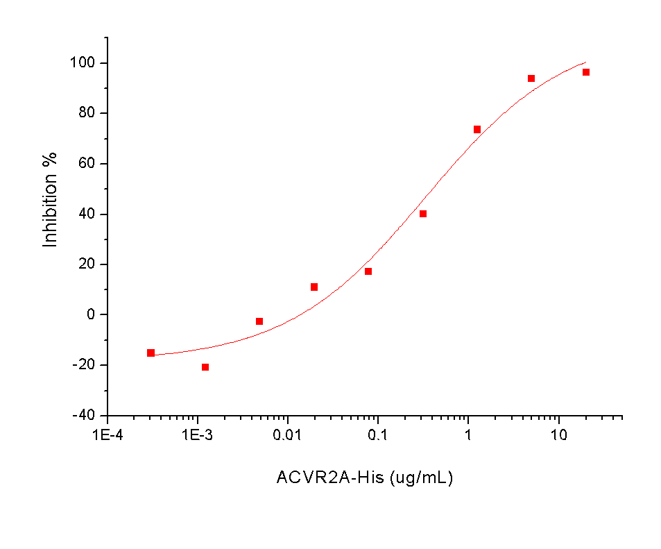ACVR2A Protein, Human, Recombinant (His)