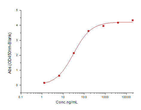 EphA2 Protein, Human, Recombinant (His & Avi), Biotinylated