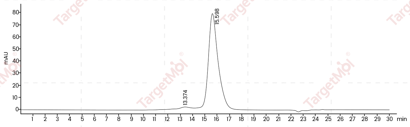 EphA2 Protein, Human, Recombinant (His & Avi), Biotinylated