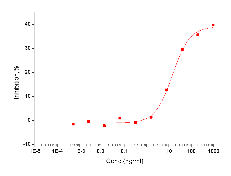 IL-4R Protein, Human, Recombinant (His)