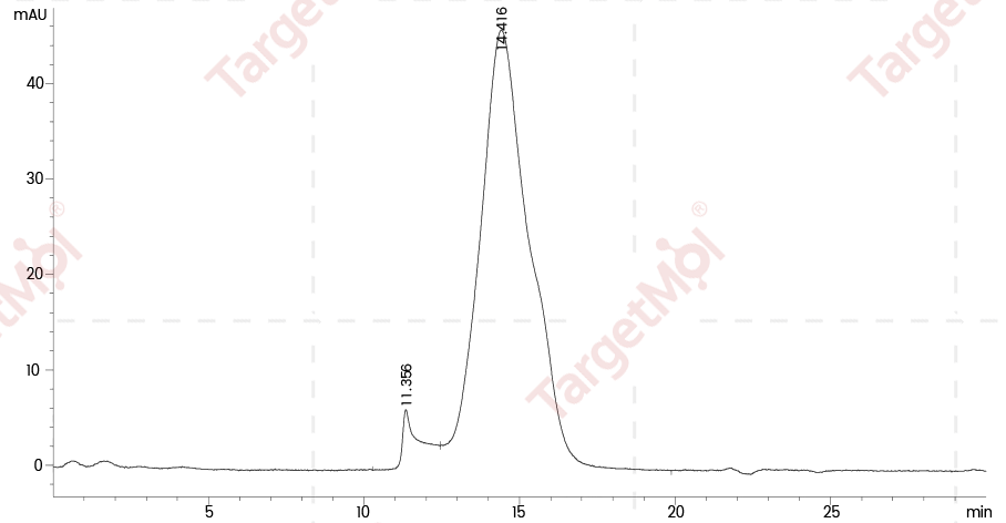 CD44 Protein, Human, Recombinant (His)