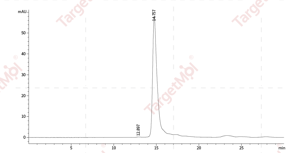CD3 epsilon/CD3e Protein, Rhesus, Recombinant (His)