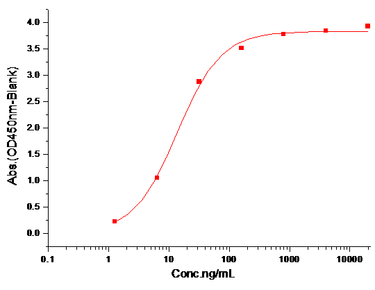 CD200R Protein, Human, Recombinant (His)