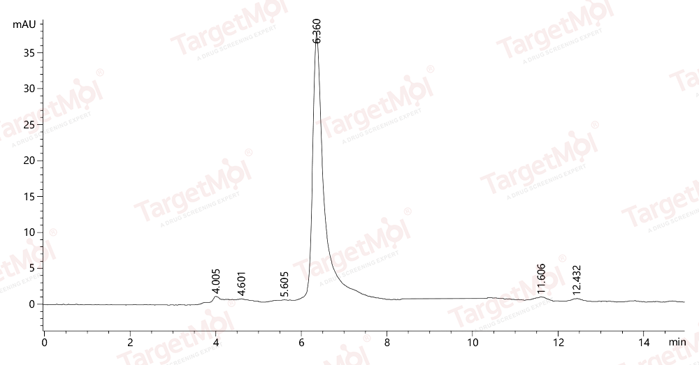 GSK3B Protein, Human, Recombinant (His)