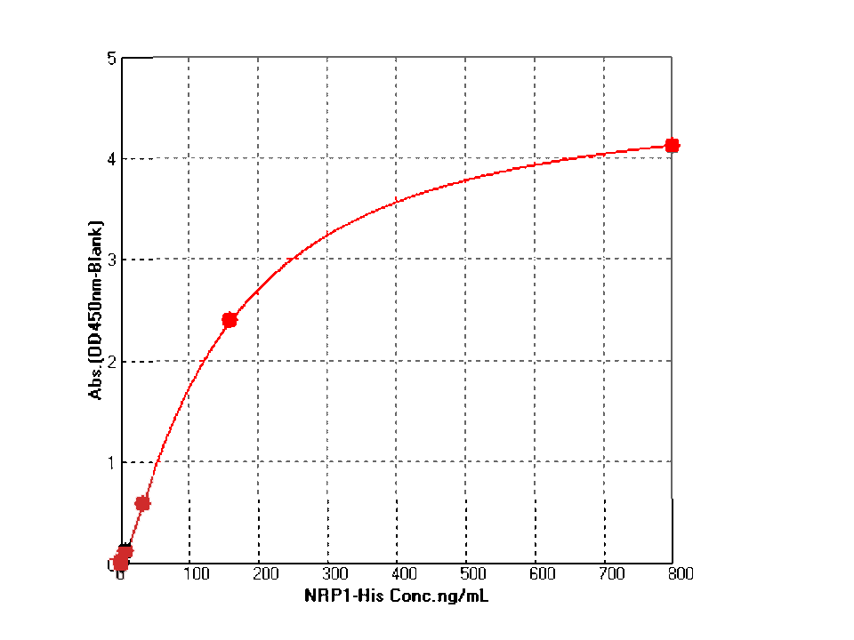 Neuropilin-1 Protein, Human, Recombinant (isoform b, His)