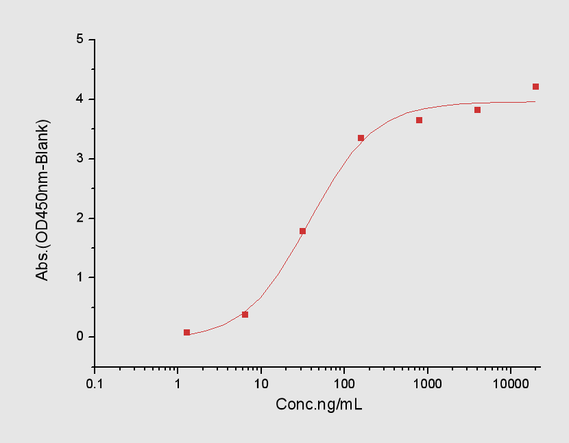 c-Kit Protein, Human, Recombinant (hFc)