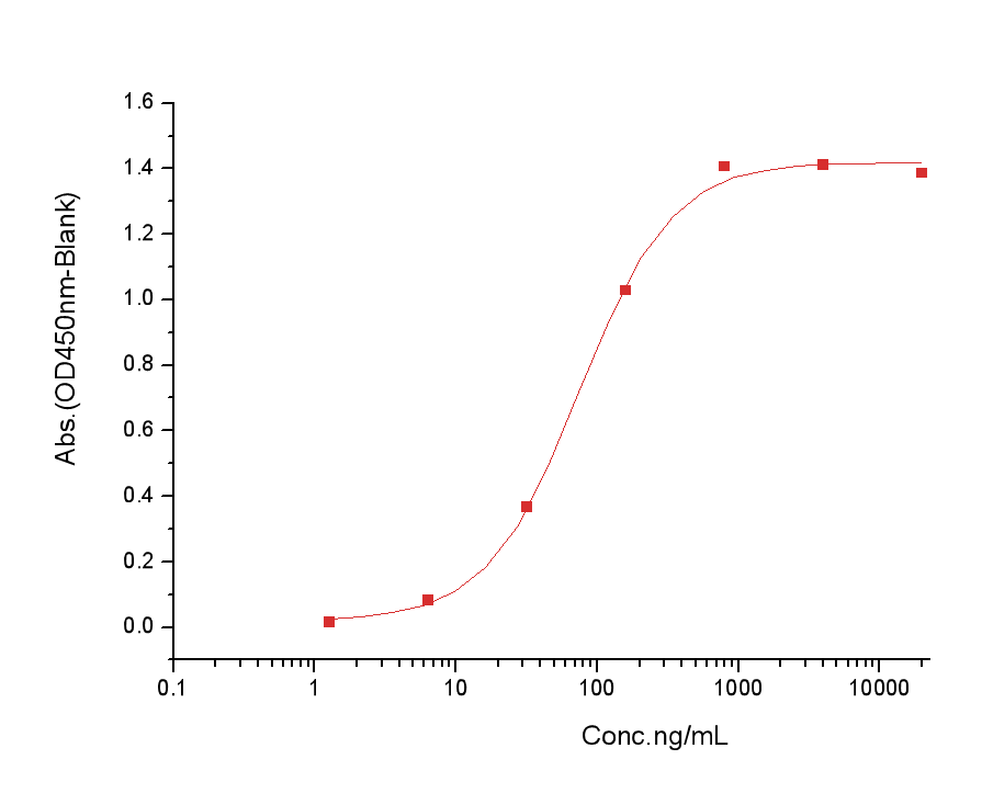 ACVR2B Protein, Mouse, Recombinant (His)