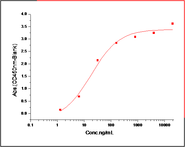 NKp30/NCR3 Protein, Human, Recombinant (His)