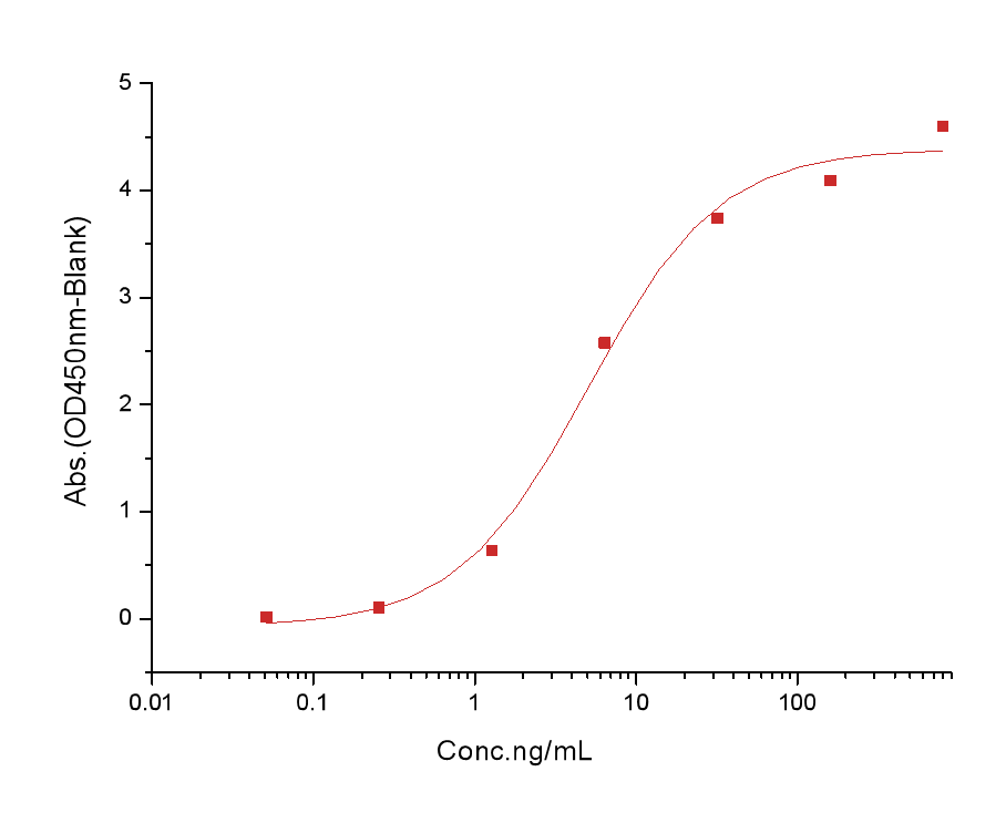 EGFR Protein, Cynomolgus, Recombinant (His)