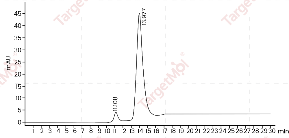 PARP1 Protein, Human, Recombinant (His)