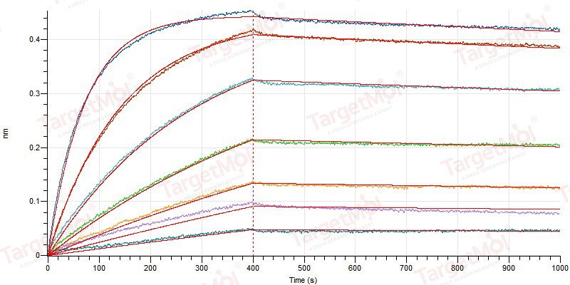 CD28 Protein, Human/Cynomolgus, Recombinant (His)