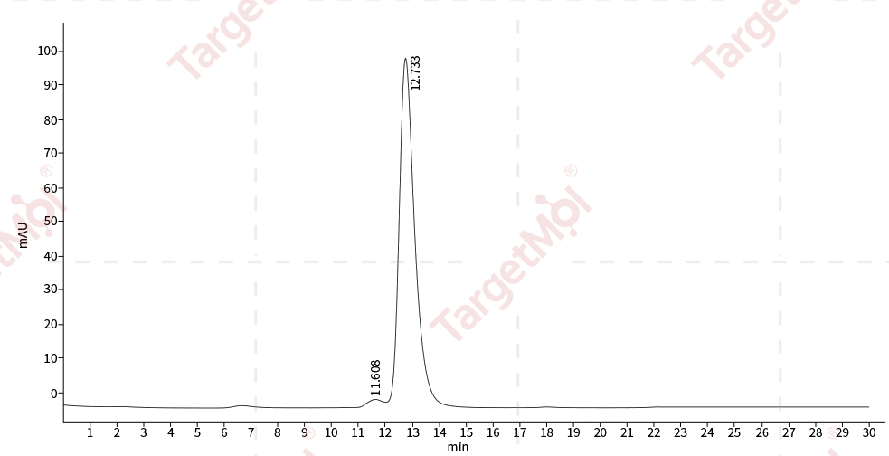 Jagged 1 Protein, Human, Recombinant (His)