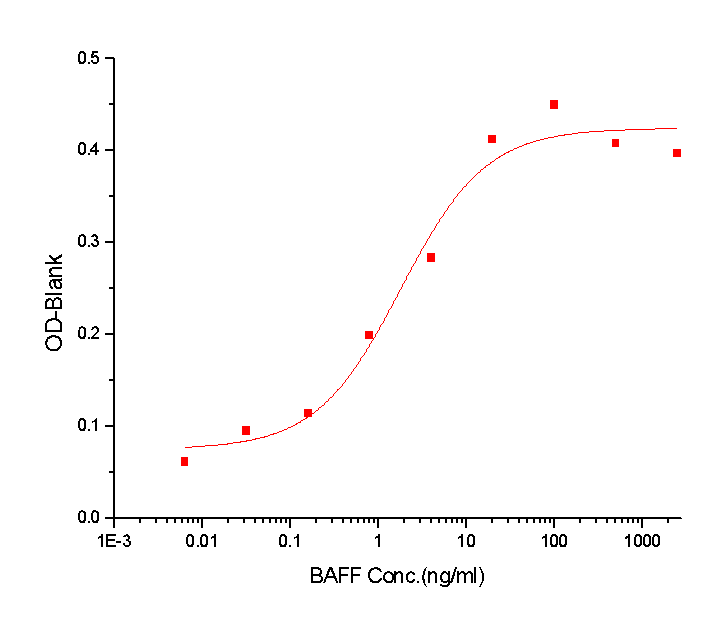 BAFF/TNFSF13B Protein, Cynomolgus, Recombinant (hFc)