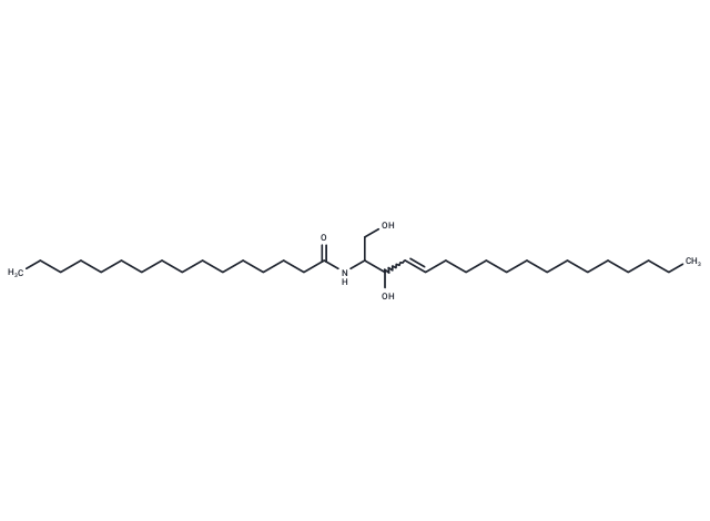 C16 Ceramide | p53 | TargetMol