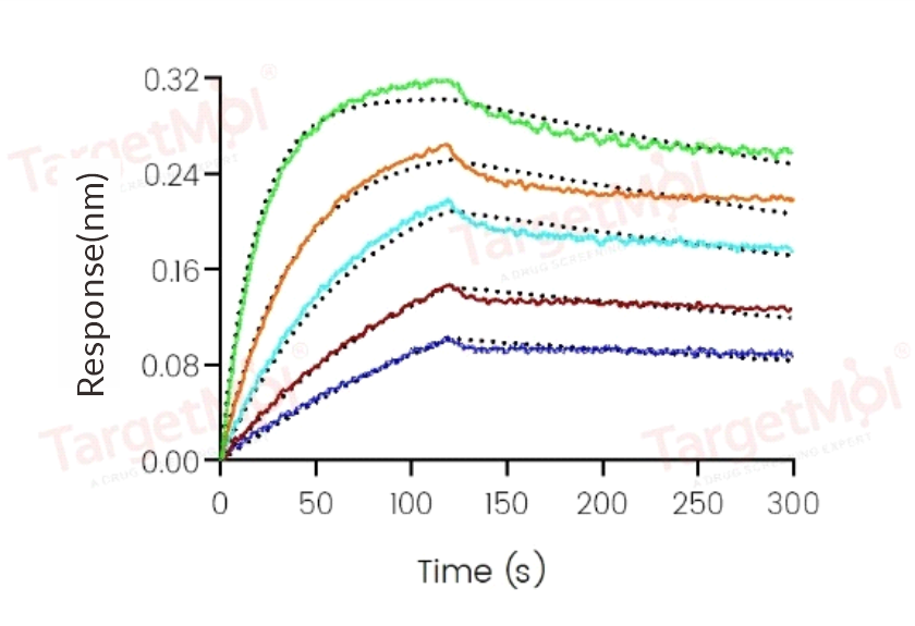 PD-1 Protein, Human, Recombinant (His)