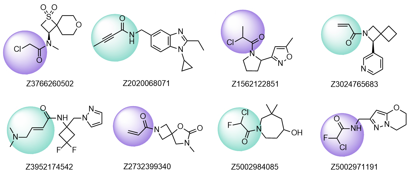  Cysteine-Focused Covalent Library