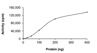 ALK Protein, Human, Recombinant (GST)