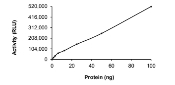 ALK Protein, Human, Recombinant (F1174S, GST)