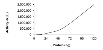 DGKA Protein, Human, Recombinant (Active, His)