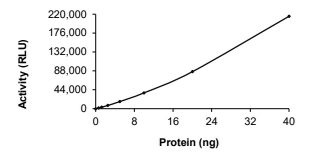 ALK Protein, Human, Recombinant (GST)