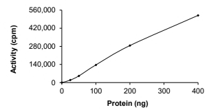 BTK Protein, Rat, Recombinant (GST)
